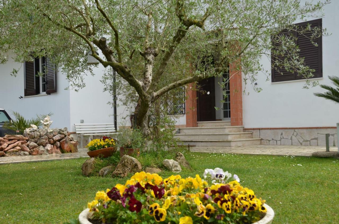 Il Grifo Sabaudia Exterior foto